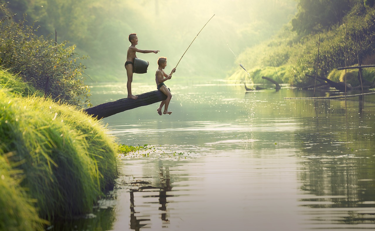 summer fishing photo